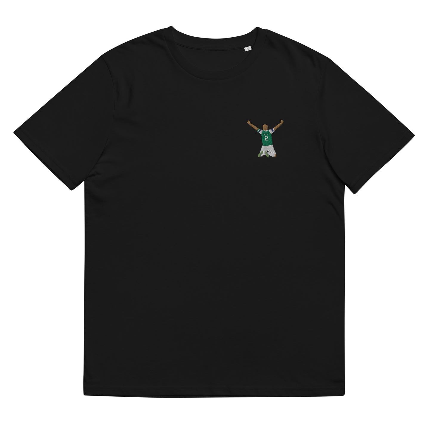 David Gray Hibernian FC - embroidered icon t-shirt